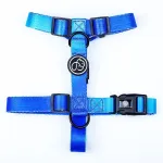 Koera rakmed GUARD HARNESS, sinised, suurus L