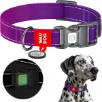 Koera kaelarihm WAUDOG QR-passiga, helkur, violetne, suurus M