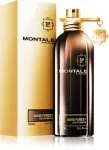 Parf&uuml;&uuml;mi vesi Montale Paris Aoud Forest 100 ml