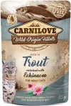 CARNILOVE m&auml;rg kassitoit forelli ja pune&otilde;iega, 85 g