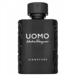 Meeste parf&uuml;&uuml;mvesi Salvatore Ferragamo Uomo Signature 100 ml
