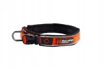 Koera kaelarihm Non-stop Dogwear ROAM, suurus 3XL, oranž