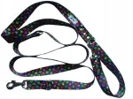 COLORFUL PAWS paks koerarihm, 2 m, suur karabiiniga