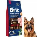 Koeratoit BRIT Premium By Nature kanaga keskmise t&otilde;u t&auml;iskasvanutele, 15 kg