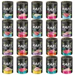 RAFI CAT Dolina Noteci m&auml;rgtoit kassidele, teraviljavaba, erinevad maitsed, 20 x 400 g