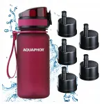 AQUAPHOR CITY 350 ml burgundiatooni veepudel viie filtrikomplektiga