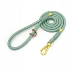 City Lanyard koerarihm, 150 cm, tugev, kuldne pandlaga, m&uuml;ndiroheline