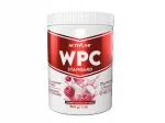 ACTIVLAB Wpc Standard vaarika vahukoor 500 g suhkruvaba valgulisand