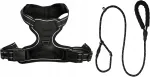 Koerte rakmed tugevate rihmadega, mustad, 150 cm, suurus S