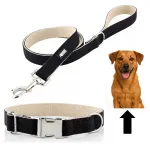 Koera rihm ja kaelarihm HUGGY DOGGY, must, reguleeritav, suurus L