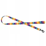 BarryKing Rainbow koera rihm, 20 mm x 120 cm