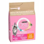 Purina ONE Junior kuivtoit kassipoegadele kanaga 2,8 kg