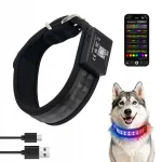 Veekindel LED-valgustusega koera kaelarihm, 20 režiimi, RGB, IP65, M (41&ndash;50 cm)
