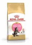 ROYAL CANIN Maine Coon kassipoegade toit, 2 x 2 kg, kuni 15 kuud
