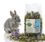 Facelia 100 g j&auml;nestele, merisigadele ja n&auml;rilistele