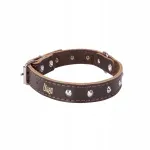 Nahast koera kaelarihm Dingo S, 2,2 x 60 cm, pronksikarva (39&ndash;49 cm) 12083