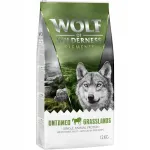 Kuiv koeratoit Wolf of Wilderness hobuselihaga, 12 kg