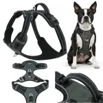 Helkuritega HUGGY DOGGY koerte rihm, r&otilde;huvaba, suurus S