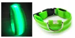 Koera kaelarihm LED-valgustusega, suurus L, 55 cm, roheline