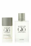Meeste tualettvesi Giorgio Armani Acqua di Gio Pour Homme 100 ml