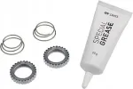 Ratta hoolduskomplekt DT SWISS Ratchet 54T SL, 2 hammakaga, 2 vedru, m&auml;&auml;rdeaine