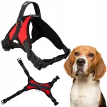 Koera rakmed PETSTORY, suurus M, 54&ndash;66 cm, punased, kerged ja liikumist ei piira