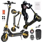 TWOFISH Master t&auml;iskasvanute elektriline t&otilde;ukeratas, 1640W, 48V, 20Ah, kuni 70 km