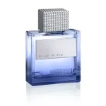 Meeste tualettvesi Custo Barcelona Blue Wind EDT 50 ml
