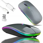 Juhtmevaba Bluetooth ja USB hiir, 2,4 GHz, hall, laetav