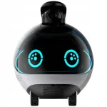 Nutikas kaaslane robot ENABOT EBO X