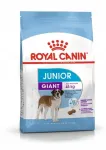 Koeratoit Royal Canin Giant Junior, 5 kg