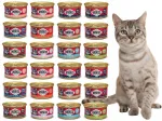 Voskes m&auml;rg kassitoit, 11 maitset, 24 x 85 g