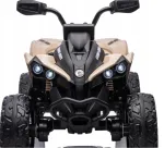 Laste elektriline neljarattaline CAN AM RENEGADE, 24V 7Ah