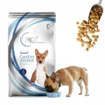 APL Gastro Intestinal Adult kuivtoit koertele, 2 kg