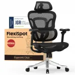 Ergonoomiline kontoritool Flexispot Ergox MAX, 4D peatoega, kuni 300 kg