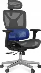 Ergonoomiline kontoritool FLEXISPOT CTDG-LITE-PRO-V2 v&otilde;rgust seljatagusega