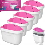 Veefiltrid Wessper Magnesium AquaMax MG+, 5 tk, sobib Brita ja Dafi kannudele