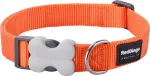 Red Dingo koera kaelarihm, oranž, 12 mm x 20&ndash;32 cm
