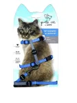 Kassi rakmed koos rihmaga Mpets Gentle Cat, sinised