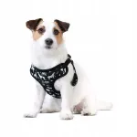 Koera rakmed John Dog Black Comics, suurus S, survevabad