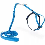 Kassi vestid ja rihm PetSafe Easy Walk, sinised, suurus M