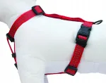 Koera rakmed HAVE A PET COMFORT REFLEX, punased, L suurus