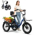 Kokkupandav elektriline kolmerattaline APEFOX RH30, 500 W, 25 km/h, 15 Ah, kuni 80 km