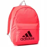 Sportlik adidas Roomy koolikott lastele