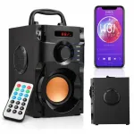 Kaasaskantav Bluetooth k&otilde;lar FM raadio, USB ja puldiga