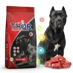 Kuiv koeratoit veiseliha ja vitamiinidega 10 kg THOR BONE TEETH