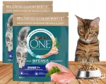 PURINA ONE Senior 7+ kuivs&ouml;&ouml;t kassidele kanaga, 2 x 750 g