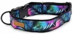 Koera kaelarihm KENDOG Magic of Color, M, 3 cm, 41&ndash;66 cm