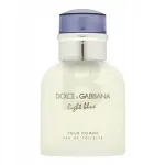 Meeste tualetivesi Dolce & Gabbana Light Blue Pour Homme 40 ml