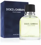 Meeste tualettvesi Dolce & Gabbana Pour Homme 200 ml